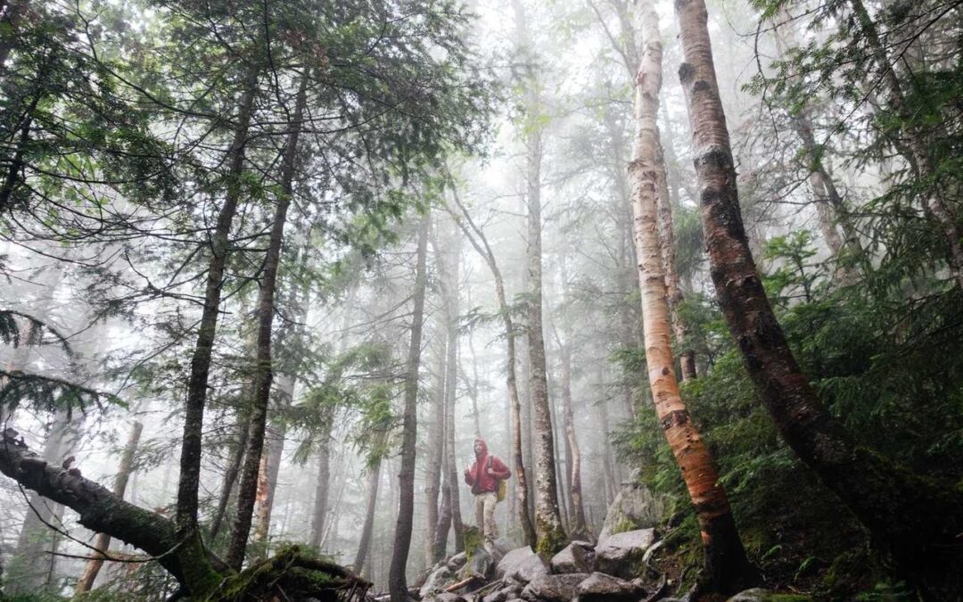 Repellat voluptatum quasi nostrum error eveniet