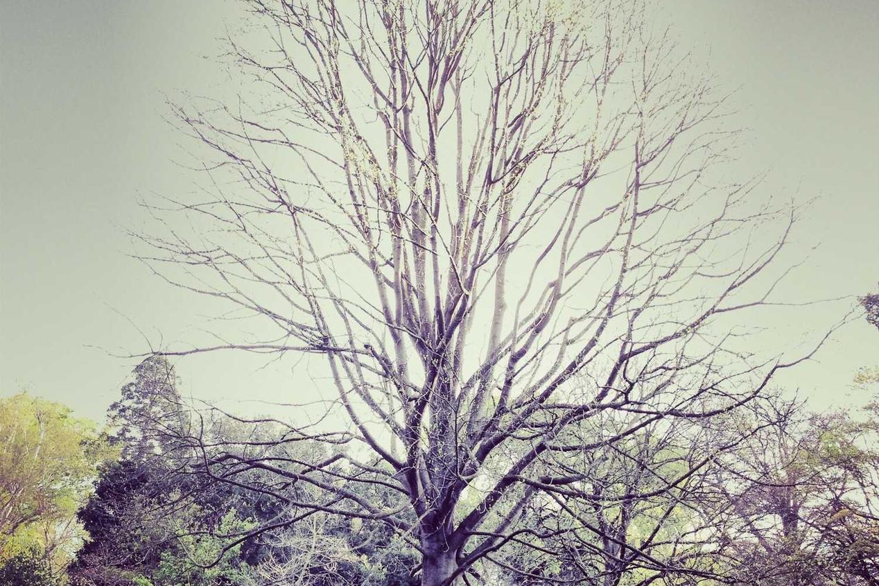 Deleniti officia molestias harum nam exercitationem quia impedit ut