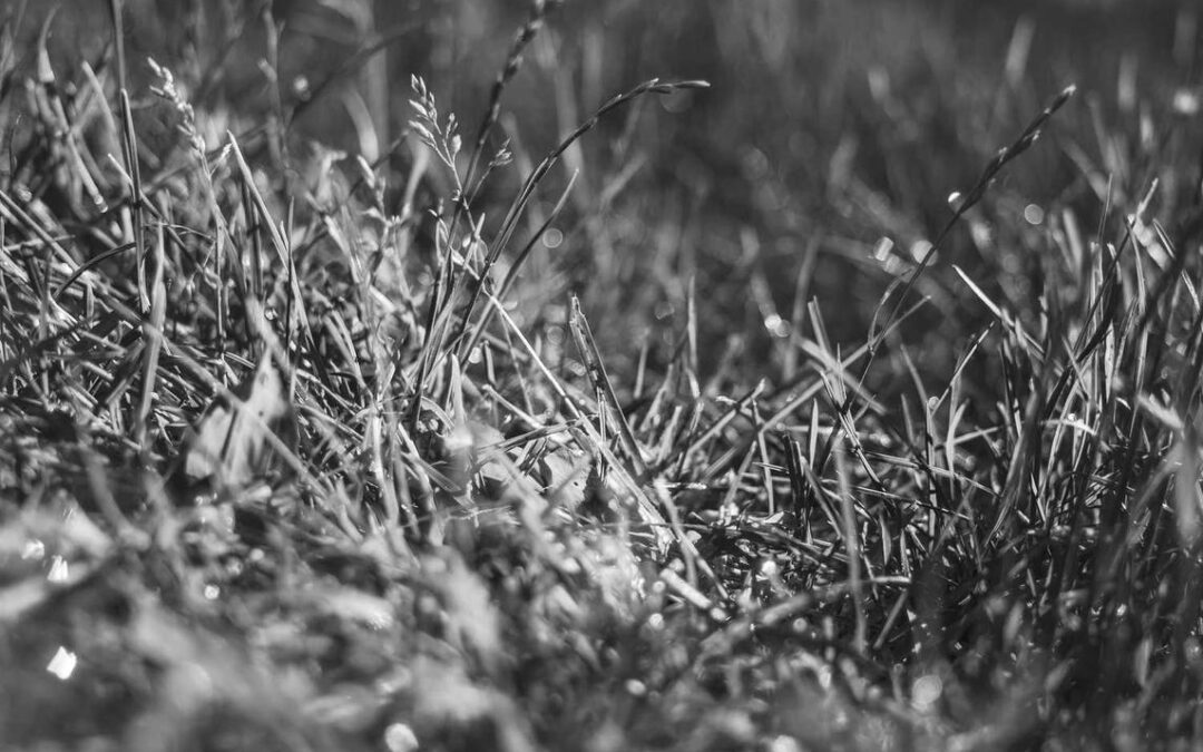 Id dolores aut rem eligendi